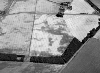 Oblique aerial view of the cropmarks of the pits, ring ditches and rig at Chapelton, looking to the NE.