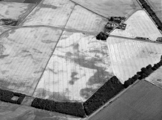 Oblique aerial view of the cropmarks of the pits, ring ditches and rig at Chapelton, looking to the NNE.