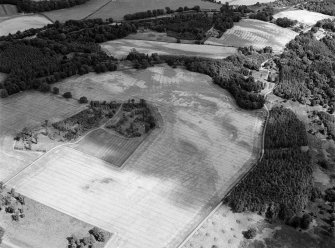 Oblique aerial view centred on the cropmarks of the unenclosed settlement, roundhouses, souterrains, pits and rig at Kinnaird Castle, looking to the ENE.
