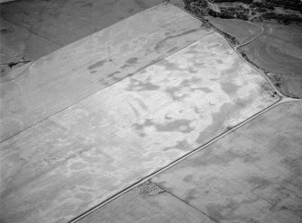 Oblique aerial view centred on the cropmarks of the square barrow, roundhouses, subrectangular buildings, ring ditch and pits at Kinchyle and Little Kildrummie, looking to the ESE.