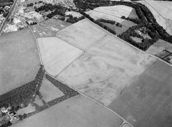 Oblique aerial view centred on the cropmarks of the settlement, roundhouses, ring ditches and enclosure at Balblair with the unenclosed settlement at Broadley adjacent, looking to the NE.