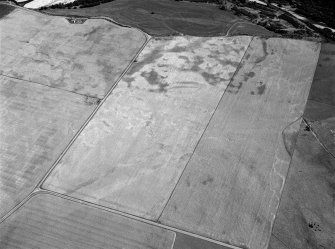 Oblique aerial view centred on the cropmarks of the square barrow, roundhouses, subrectangular buildings, ring ditch and pits at Kinchyle and Little Kildrummie, looking to the SE.