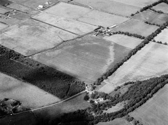 Oblique aerial view centred on the cropmarks of the roundhouse  at Kinrea, looking to the NE.