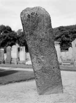 General view of reverse of Mortlach Pictish symbol stone no 1 showing a bird above a serpent and a bull's head.