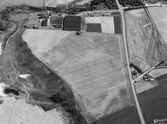 Oblique aerial view centred on the cropmarks of the ring ditches at Sandend, looking to the ESE.