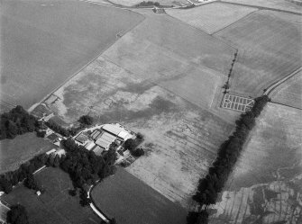 Oblique aerial view centred on the cropmarks of the ring ditches, pits and rig, with the farmstead adjacent at Mains of Balbegno, looking to the N.