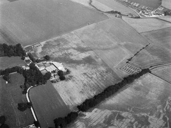 Oblique aerial view centred on the cropmarks of the ring ditches, pits and rig, with the farmstead adjacent at Mains of Balbegno, looking to the N.