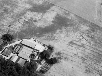 Oblique aerial view centred on the cropmarks of the ring ditches, pits and rig, with the farmstead adjacent at Mains of Balbegno, looking to the N.