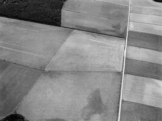 Oblique aerial view centred on the cropmarks of the enclosure and pits at Dryburn, looking to the SSW.