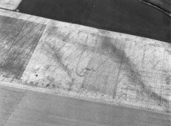 Oblique aerial view centred on the cropmarks of the souterrains and possible enclosure at Upper Powburn, looking to the NE.