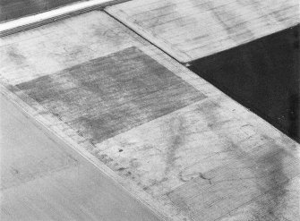 Oblique aerial view centred on the cropmarks of the souterrains and possible enclosure at Upper Powburn, looking to the NNW.