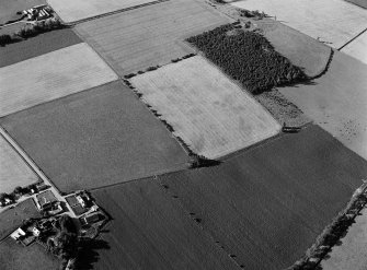 Oblique aerial view centred on the cropmarks of the roundhouses  at Ardgathen, looking to the SSW.