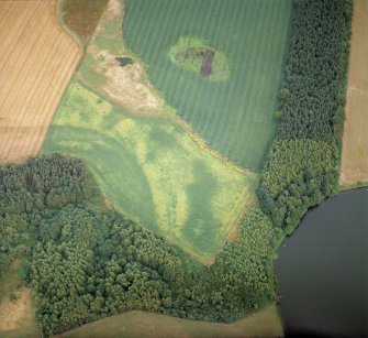 Oblique aerial view centred on the cropmarks of the quarry pits and the enclosures, taken from the NW.