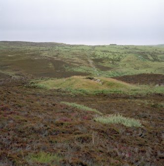 View of chambered cairn from SW.
Digital copy of photograph.