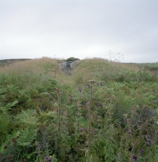 View of chambered cairn from S.
