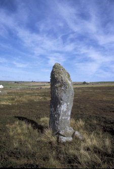 View  of standing stone.