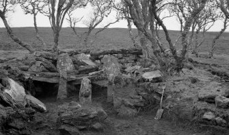Borgue Langwell, 'galleried chamber at Langwell after excavation'.