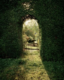 Keillour Castle, Gardens.
View of arched gateway in south hedge leading to walled garden.




