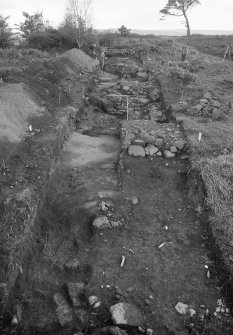 Excavation photographs: Gillies Hill excavation.