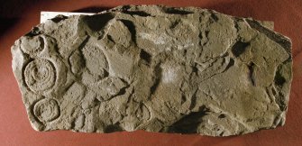 Artefact photographs: Loanleven ring marked stone.