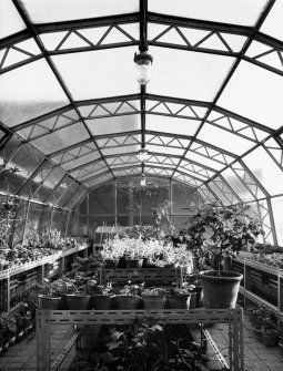 Interior.
View of greenhouse.