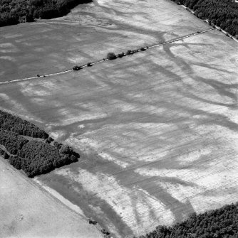 Carsie Mains, oblique aerial view, taken from the E, centred on a complex of cropmark features including possible mortuary enclosures, a pit circle and linear cropmarks.