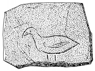 Scanned ink drawing of Pictish symbol stone