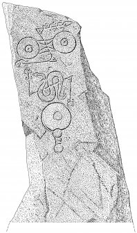 Scanned ink drawing of Picardy Stone Pictish symbol stone