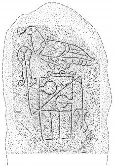Scanned ink drawing of Tyrie Pictish symbol stone
