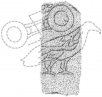 Scanned ink drawing of Fyvie 2 Pictish symbol stone fragment.