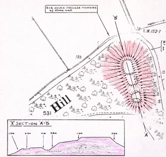 Plan and section of motte-and-bailey (filed in photograph box file)