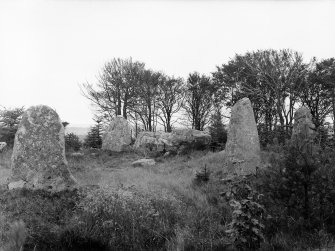 Circle at Parkhouse Hill. Four stones standing. Diameter 45ft. Altar stone 15x4.5x5ft. Highest stone 7ft