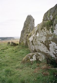 The buttress stone to the rear of the recumbent
