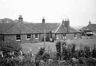 Rear view