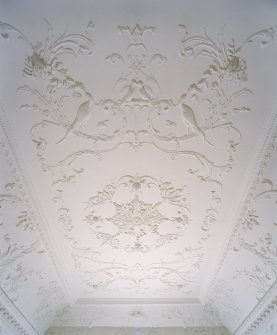 Interior.  Ground floor, Chinese drawing-room, view of ceiling