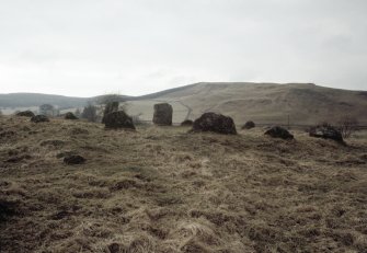 Hartmanor, 'Loupin Stanes', stone circle.