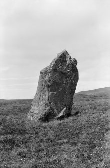 General view of standing stone