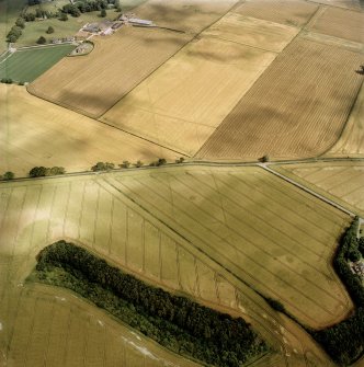 Oblique aerial view centred on the cropmarks of the cursus, enclosed and unenclosed settlement, rig, ring-ditch, barrows and an enclosure, taken from the WNW.