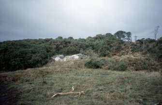 Copy of slide (H 93793cs) of recumbent stone circle before clearance of vegetation.