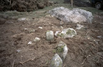 Copy of slide (H 93796cs) of recumbent stone circle cleared of vegetation.