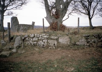 Copy of colour slide (H 93808cs) showing general view of recumbent stone circle.