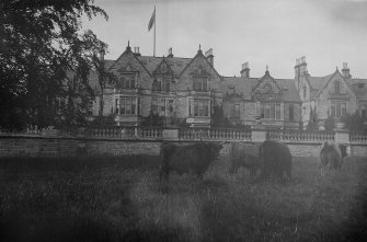 View of Montrave House from south with highland cattle in the foreground.