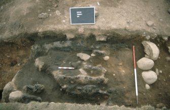Excavation photographs: Film 21 from the 1995 season at Brown Caterthun.
Trench 2, Rampart E: burnt timber deposit 6 from the north-east (outer rampart face to left). Note the rabbit burrow running obliquely through the timbers to the left of the small scale.