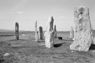 View of excavation at Callanish.