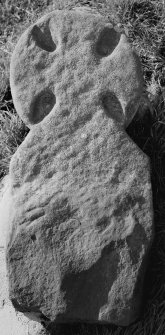Photograph of disc-headed grave marker no.15 removed from ground.