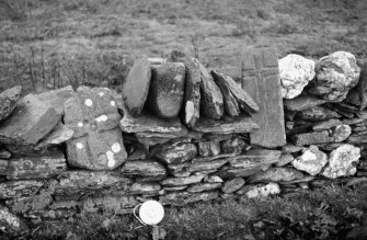 View of incised stones in yard wall.