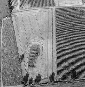 Steeds Stalls, Gourdie, oblique aerial view, taken from the SW, centred on the cropmarks of the Roman Temporary Camp.