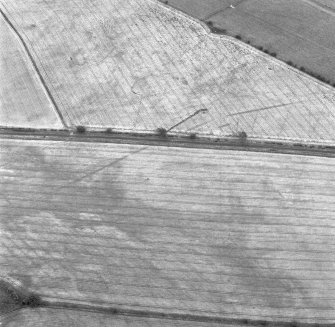 St Leonard's Hill, oblique aerial view, taken from the WSW, centred on the cropmarks of the SW side of a Roman Temporary Camp.
