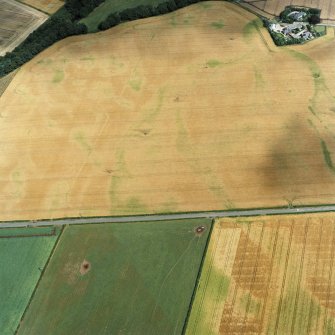 Oblique aerial view centred on the cropmarks of the Roman temporary camp, pits and ring-ditch, taken from the SW.