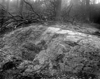 Cup and ring marked rock.